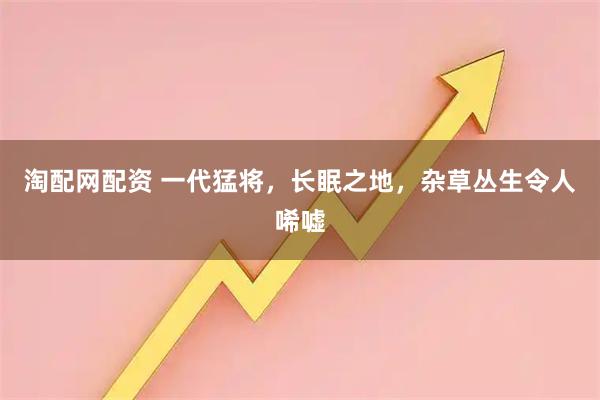 淘配网配资 一代猛将，长眠之地，杂草丛生令人唏嘘