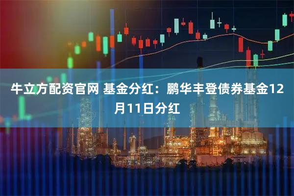 牛立方配资官网 基金分红：鹏华丰登债券基金12月11日分红