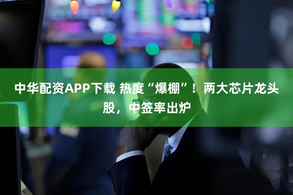 中华配资APP下载 热度“爆棚”！两大芯片龙头股，中签率出炉
