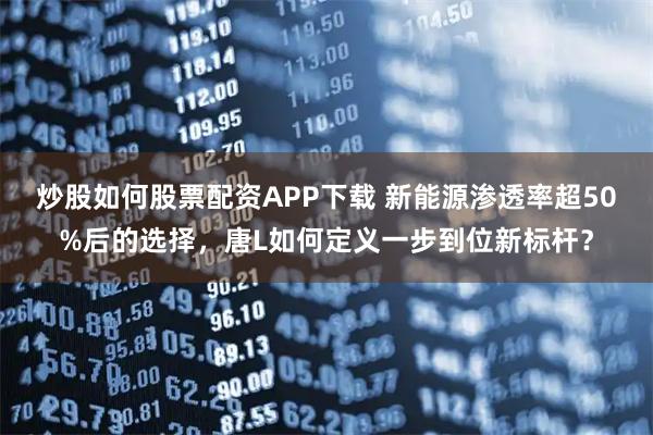 炒股如何股票配资APP下载 新能源渗透率超50%后的选择，唐L如何定义一步到位新标杆？